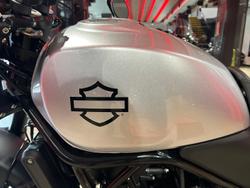 2024 Harley-Davidson X 500 X Silver