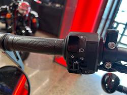 2024 Harley-Davidson X 500 X Silver