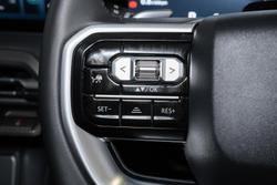 2025 LDV Terron 9 Evolve