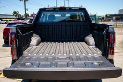 2025 LDV Terron 9 Evolve