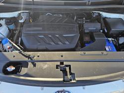 2019 Kia Carnival S