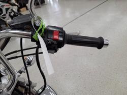 2009 YAMAHA XV250 (VIRAGO VX250S, VX250R) Maroon