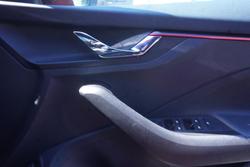 2025 SKODA Kamiq 110TSI Monte Carlo