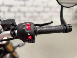 2025 Triumph Speed 400 Speed Four Red