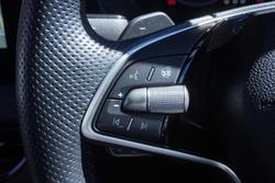 2024 SKODA Kamiq 110TSI Monte Carlo