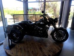 Harley-Davidson Freewheeler 114 (flrt)