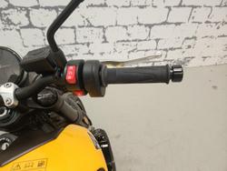 2026 Triumph Trident 660 Trident Yellow