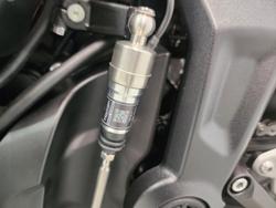 2026 Triumph Trident 660 Trident Yellow