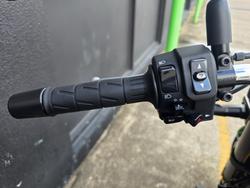 2021 Kawasaki Z900RS (ZR900C) GREEN