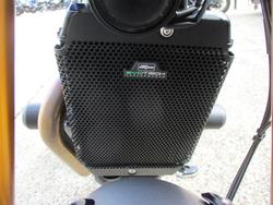 2023 Triumph SPEED 400 BLUE