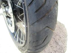 2023 BMW Motorrad R 1250 GS RALLYE ALPINE WHITE