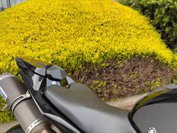 2009 Yamaha YZF-R1 Black