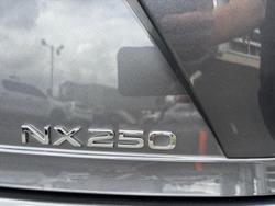 2023 Lexus NX 250