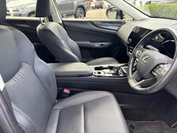 2023 Lexus NX 250