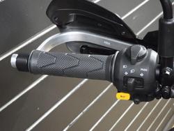 2025 Royal Enfield HIMALAYAN 450 Gold