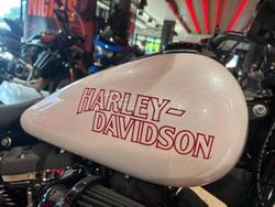 2026 Harley-Davidson Low Rider S 117 (FXLRS) Softail White