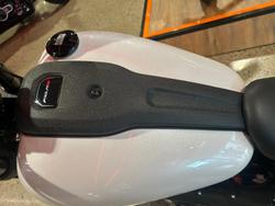 2026 Harley-Davidson Low Rider S 117 (FXLRS) Softail White