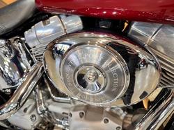 2006 HARLEY-DAVIDSON FXSTI SOFTAIL