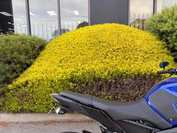 2019 Yamaha MT-09A Blue