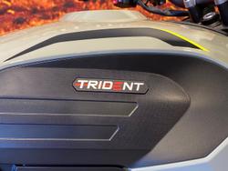 2026 Triumph Trident 660 Trident Grey
