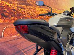 2026 Triumph Trident 660 Trident Grey