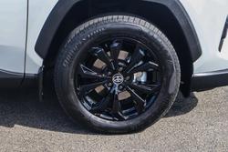 2024 Toyota RAV4 Cruiser