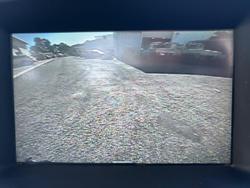 2019 Holden Colorado LS