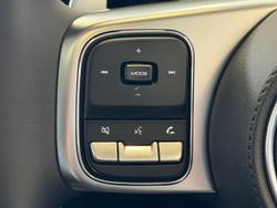 2024 GWM Tank 300 Lux