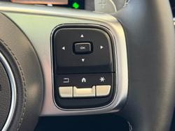 2024 GWM Tank 300 Lux