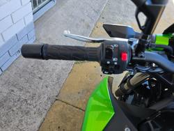 2026 Kawasaki Z500 Green