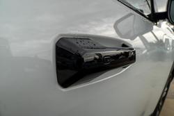 2025 LDV Terron 9 Evolve