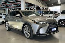 2023 Lexus NX NX350h Sports Luxury