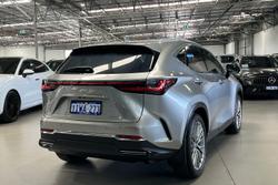 2023 Lexus NX NX350h Sports Luxury