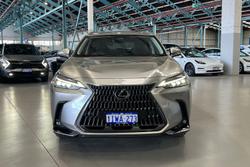 2023 Lexus NX NX350h Sports Luxury