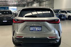 2023 Lexus NX NX350h Sports Luxury