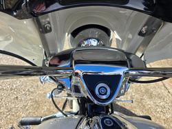 2018 Harley-Davidson FLRT FREEWHEELER WHITE