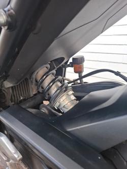 2021 Triumph TRIDENT 660 BLACK