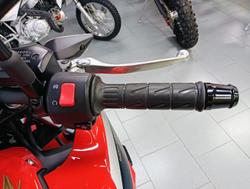 2022 Kawasaki Z650L (LAMS) 50th Anniversary Z Red