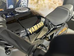 2025 Yamaha XSR900 (MTM890A) BLACK