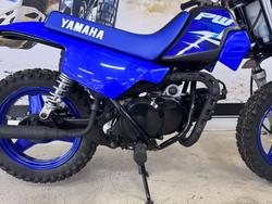 2025 Yamaha PW50 (PEE-WEE) BLUE