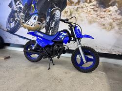 2025 Yamaha PW50 (PEE-WEE) BLUE