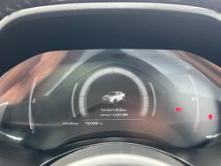 2022 GWM Ute Cannon XSR