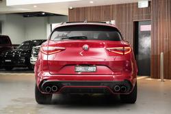 2019 Alfa Romeo Stelvio Quadrifoglio