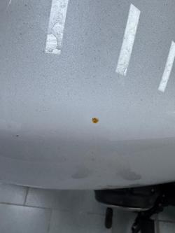 2013 Yamaha Bolt (XVS950CU) Bolt White