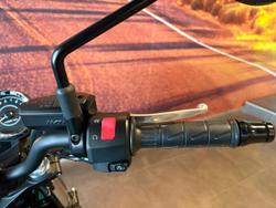 2022 Kawasaki Z650RS (LAMS) Z Green