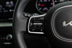 2021 Kia Carnival S KA4 MY21 Panthera Metal