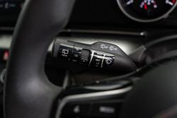 2021 Kia Carnival S KA4 MY21 Panthera Metal