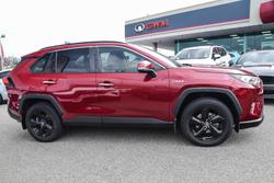 2019 Toyota RAV4 Cruiser