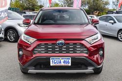 2019 Toyota RAV4 Cruiser