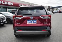 2019 Toyota RAV4 Cruiser